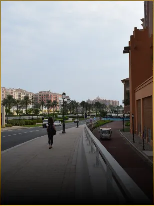 Eco and Walkable Zones